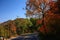 Road in autumn