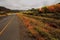 Road with autumn colored trees in the Karoo region of South Africa