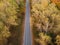 Road in autumn forest, aerial view