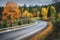 Road in autumn forest. Beautiful empty mountain roadway