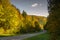 Road through autumn forest in the Upper Danube Valley.