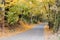 The road in the autumn Park: yellow trees, fallen leaves, desolation