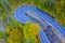 Road and autumn trees