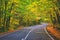 Road in the autumnal forest