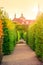 Road in autumnal garden with green bush and fountain