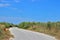 Road among bamboo