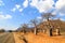 Road through the baobab forest valley in Tanzania