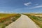 Road in the Bardenas Reales Navarre desert