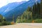 Road barriers on a mountainous road in summer