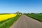 Road through a beautiful landscape by springtime