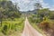 Road in Belize