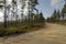 Road through Belize