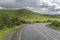 Road bends at green hill covered with sheep, near Whakarewarewa, Waikato, New Zealand