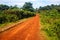 Road on Bolaven plateau