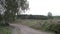 Road in Cannock chase forest,  UK