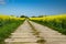 Road between canola fields on the island Usedom, Germany