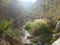 Road canyon Guadalupe baja California hiking spring vacation mountain palms river