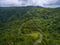 Road through Caribbean Rain Forest UNESCO Biosphere Reserve