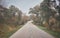 Road without cars in an autumnal landscape with fog