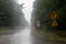 The road for cars in the rain. Asphalt road in the forest with r