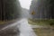 The road for cars in the rain. Asphalt road in the forest with r