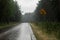 The road for cars in the rain. Asphalt road in the forest with r