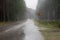 The road for cars in the rain. Asphalt road in the forest with r