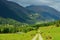 Road in Caucasus