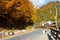 Road in Cheile Gradistei, on an autumn day, Cheile Gradistei, Moeciu, Brasov