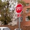 Road, city and outdoor with stop sign, mistake or typo for humor with comic text in neighborhood. Spot, error and joke