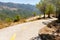 Road through Coll de rates uphill into mountains