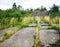 Road of concrete slabs in the park. Green grass around and between gray concrete slabs