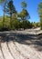 Road construction in Maine wilderness