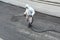 Road construction worker working spraying liquid bitumen on road surface