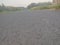 road, corn field, grass, and trees in evening day