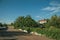 Road and cottage amidst trees near Elvas