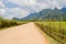 Road and cottage and green terraced rice field