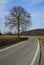 Road in countryside