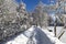 Road in the countryside after heavy snowfall in central Europe