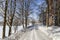 Road in the countryside after heavy snowfall in central Europe