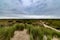 Road in the countryside, the picturesque nature of Borkum island under the gloomy sky