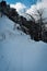 Road covered with snow under clean weather in the forest of Jalori pass , himachal pradesh .