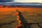 a road cracked through the desert at sunset. Generative AI