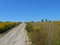 Road with cracks in the field with plants.