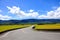 Road cross the rice field in Taidongï¼ŒTaiwan