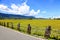 Road cross the rice field in Taidongï¼ŒTaiwan