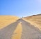 A road crossing an arid dune terrain