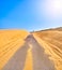 A road crossing an arid dune terrain