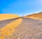 A road crossing an arid dune terrain