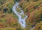 Road crossing forest, tierra del fuego, argentina